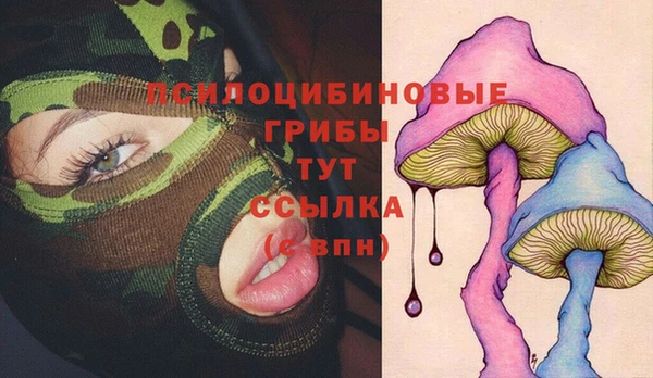 ECSTASY Елизово