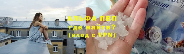 ECSTASY Елизово