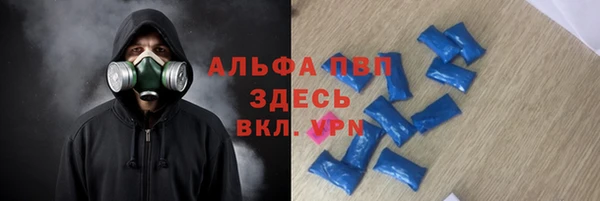 ECSTASY Елизово