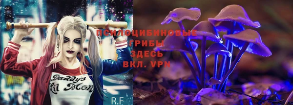 ECSTASY Елизово