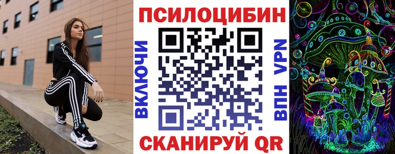 Псилоцибиновые грибы мицелий  Купить  Южно-Сухокумск 